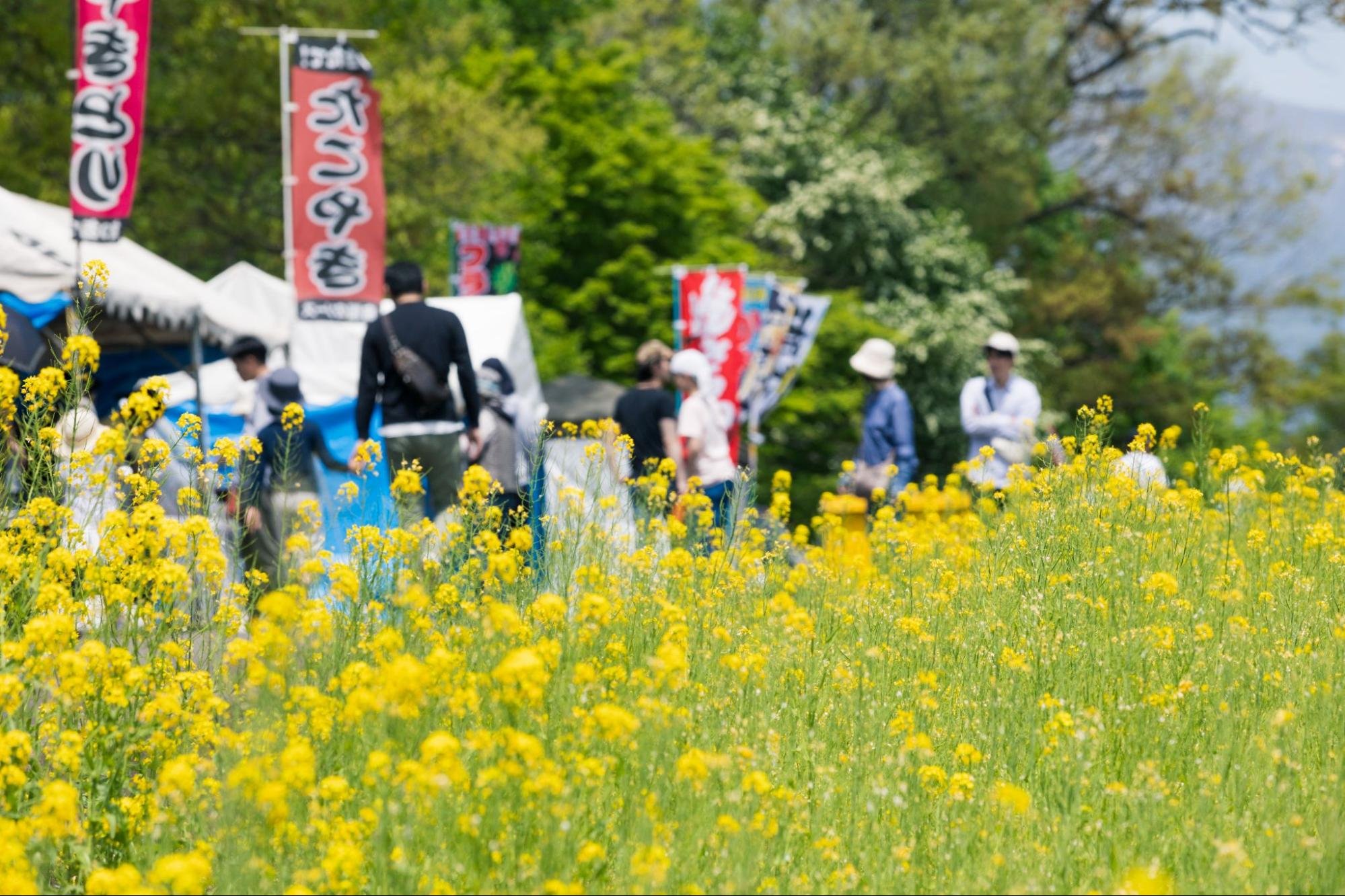 🛍️ 후겐지 만남의 역(후겐지 후레아이노에키) 이미지 8